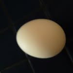 lucas kidder - @therandom_egg27 - Instagram