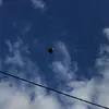 Lucas Lam - @lucas.lam170 - TikTok