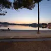 lucaslam705 - @lucaslam705 - TikTok