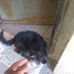 Lucas Leo - Facebook