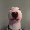 Hi - @lucas._.ley44 - TikTok