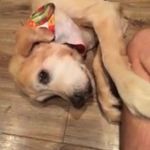 @lucas_mattern - Instagram