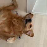 Lucas Mattern - @lucasmattern - Instagram