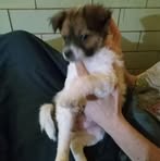 Lucas Maxfield - Facebook