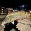Lucas mercer - @queensland_fishing_l - TikTok