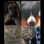 Lucas Mercer - @lucas_mercer2008 - Instagram