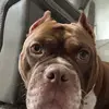 Lucasmorrow6687 - @lucasmorrow6687 - TikTok