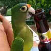 Lucas navas - @lucas.navas136 - TikTok