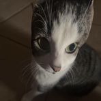 Lucas Nix - Facebook