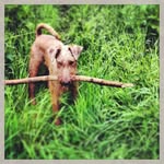 Lucas - @lucas.orton - Instagram
