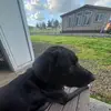 Lucas Orton - @lucas.orton7 - TikTok