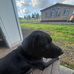 Lucas Orton - Facebook