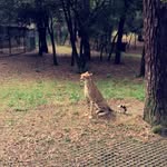 Lucas ortoni - @lucas_ortoni - Instagram