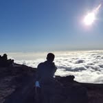 Lucas Oswald - @lucas_oswald - Instagram
