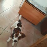 Lucas Pace - @lucas.pace.946 - Instagram