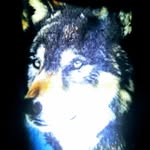 Lucas Parrish - @lucas.parrish.980 - Instagram