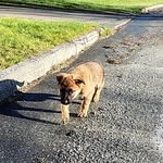 lucas patton - @lucaspatton2009 - Instagram