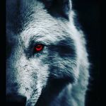 Lucas Petty - @daniel.lpp0 - Instagram