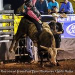 Lucas Phipps Bull Rider - @lucasphipps_ - Instagram