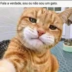 Lucas Pimenta - Facebook