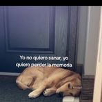 Lucas Ramirez - Facebook