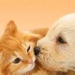 Lucas Ramirez ៚ - Facebook