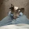 lr - @lucas.robbins - TikTok