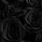 Lucas Roberson - Facebook