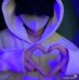 Lucas Ryan - Facebook