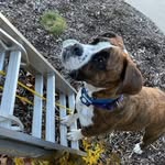 Lucas Snider - @lucassnider12 - Instagram