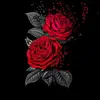 user2926037545436 - @lucas.standridge - TikTok