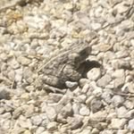 Lucas Stanton - @l1.395 - Instagram