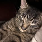 Patti Lucas Stoddard - @lucasstoddard - Instagram
