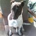 Lucas Stott - Facebook