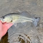 @lucas_strehl_fishing - Instagram