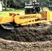 Lucas   stump removal - Facebook