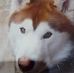 Lucas Allen Summers - Facebook