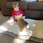 Lucas Teeter - @lucas_oliver_teeter - Instagram