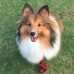 Lucas&Tinkerbell - @lucas_tinkerbell - Instagram