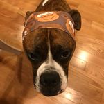 Lucas Vickers - @lucas_vickers - Instagram