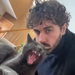 Lucas Warner - @_lucaswarner_ - Instagram