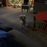 Lucas Willis - @lucaswillis09 - Instagram