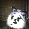 luci!! - @lucinelso.n - TikTok