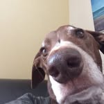 Luci Nelson - @bebraveluci - Instagram