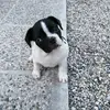 lucia - @luciaaceto23 - TikTok