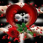 Lucia aparicio Gracia - Facebook