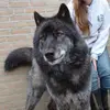 lucia - @luciabell - TikTok