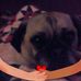Lucia Burt - Facebook