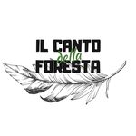 Lucia Casanova - @ilcantodellaforesta - Instagram