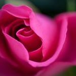 Lucia Conrad - @luciaconrad68 - Instagram